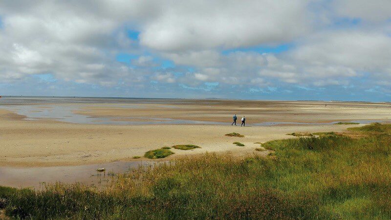 terschelling strand drone